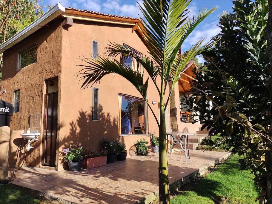 a palm tree in front of a house at La casa de chocolate 1 in Bogotá