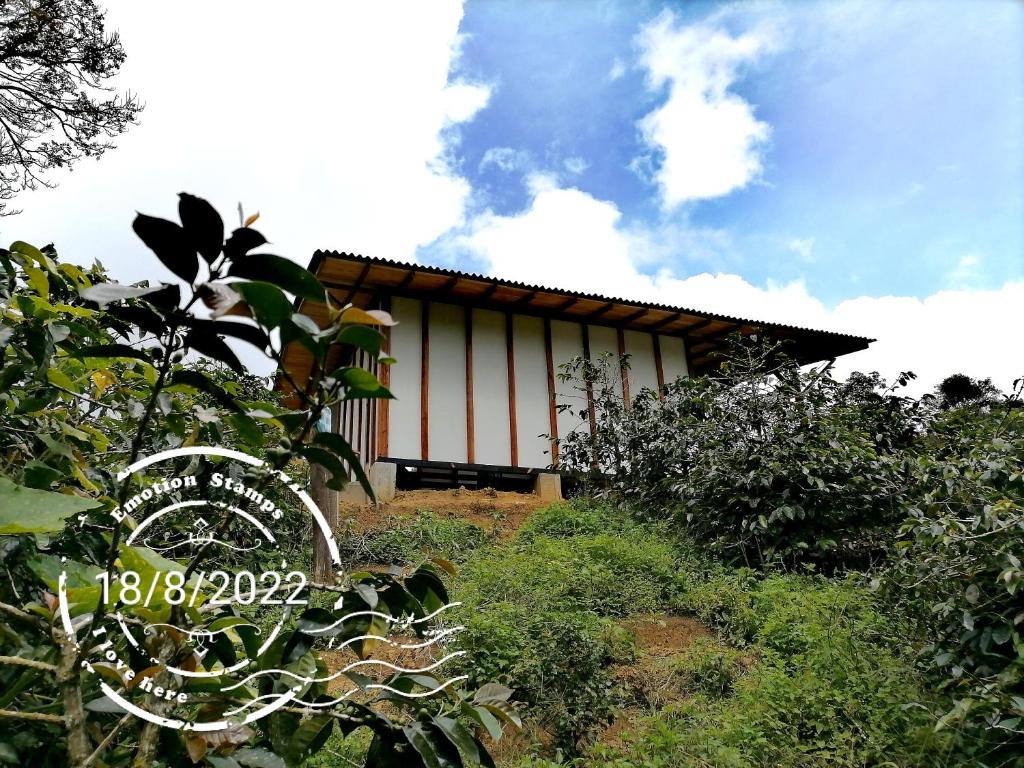 Zahrada ubytování MoiraEcolodge - Cabaña El Porvenir