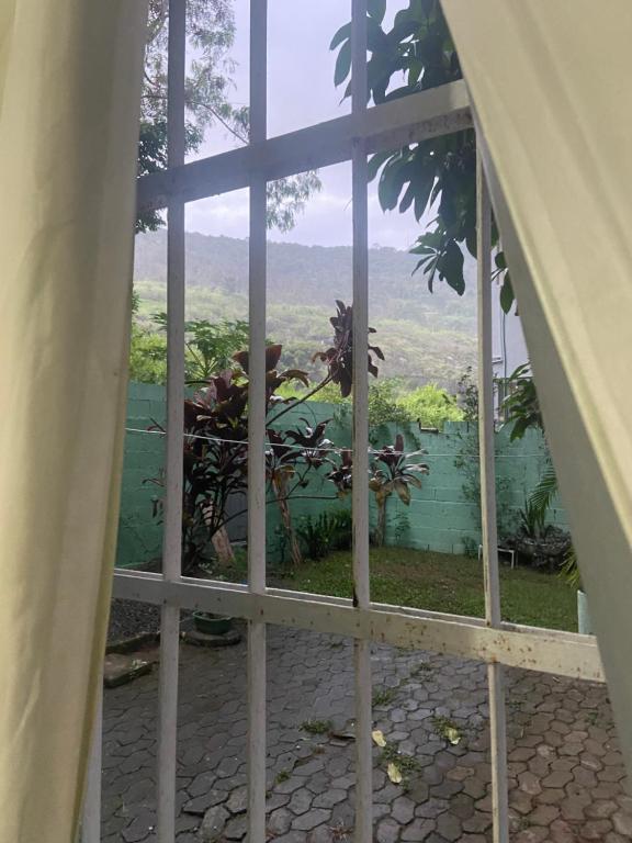 uma vista a partir de uma janela de um jardim em Espaço Verde em Vitória