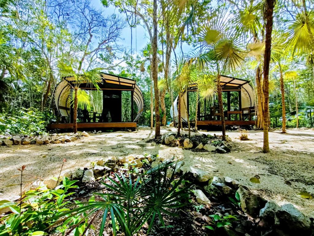 une maison au milieu d'une forêt plantée d'arbres dans l'établissement Zil-Kaab Hidden Glamping Village, à Tulum
