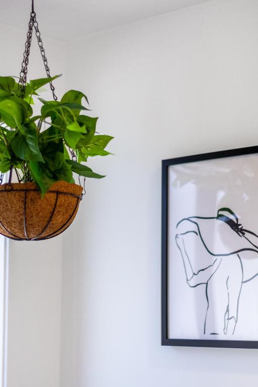 Central City Awaits 2 bed 2 bath - Resim 30