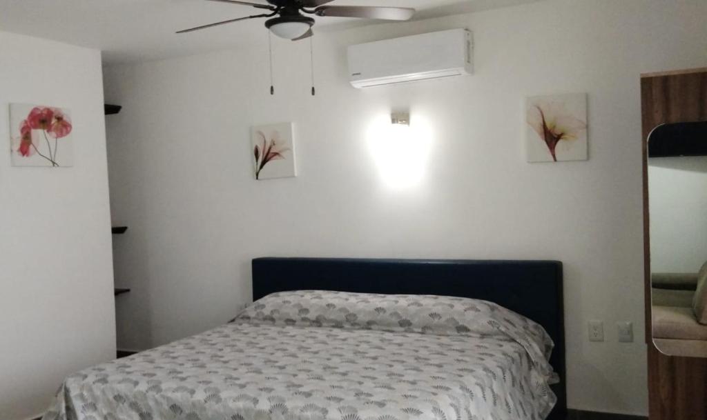 a bedroom with a bed and a ceiling fan at Casa Aura - King Suite with Kitchen and Balcony - 1st Floor in Isla Mujeres