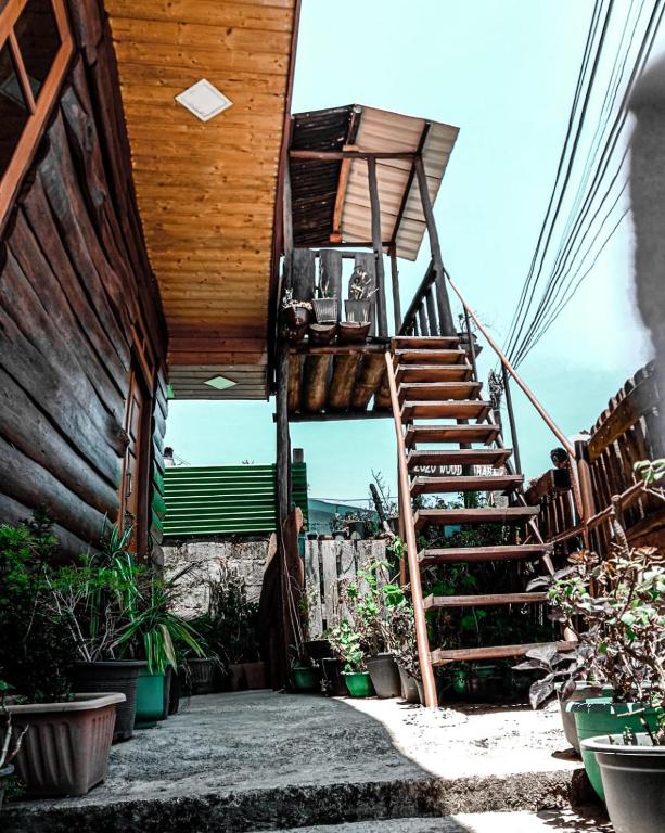 20/20 wood cabana - 8