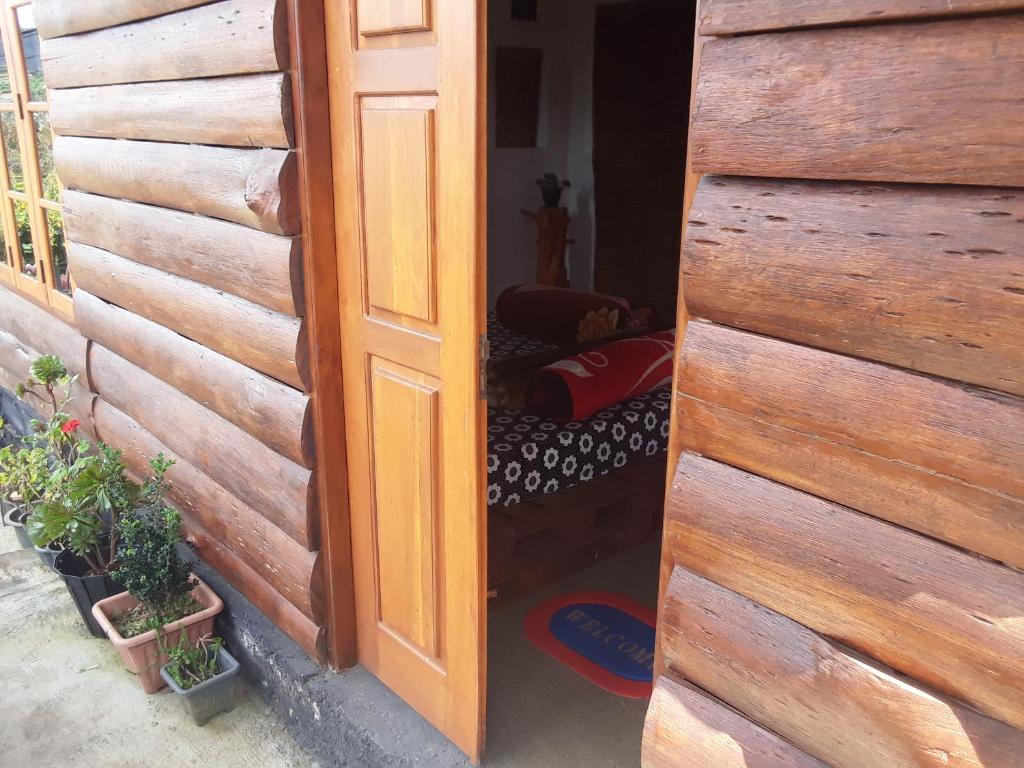 20/20 wood cabana - 10