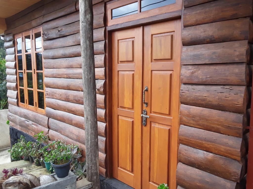 20/20 wood cabana - 11