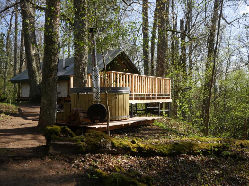 eine Hütte im Wald mit einem Baum in der Unterkunft Mežurgu teltis in Dikļi