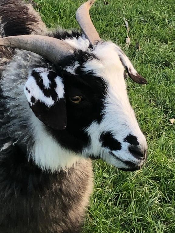 Summerfields B & B - Resim 30