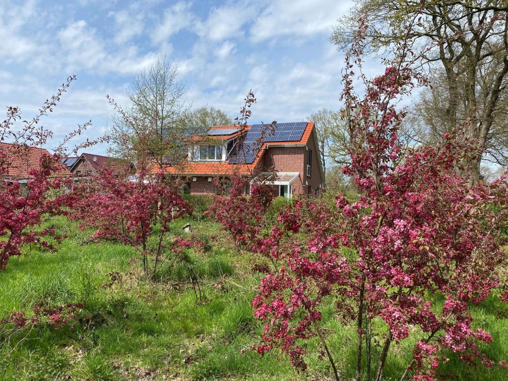 a house on top of a hill with pink flowers at Friedeburga in Friedeburg