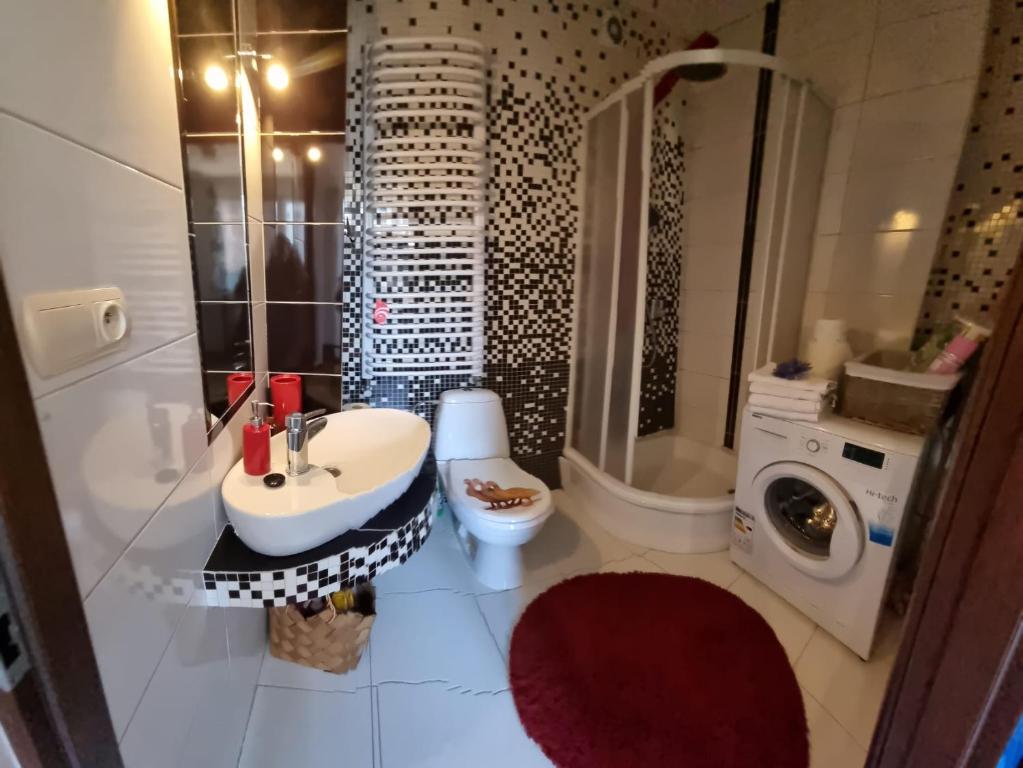 a bathroom with a sink and a washing machine at Apartamenty Tomaszów Lubelski - Niebieski in Tomaszów Lubelski