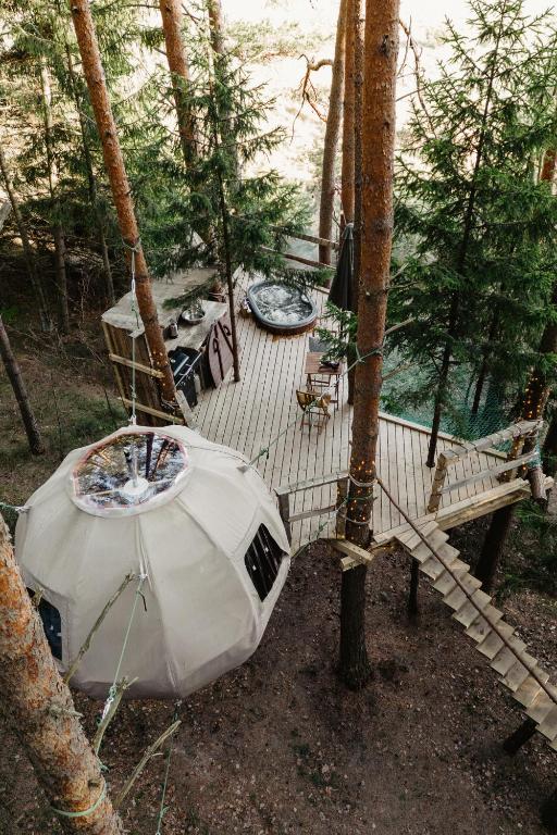 Příroda nedaleko luxury tent
