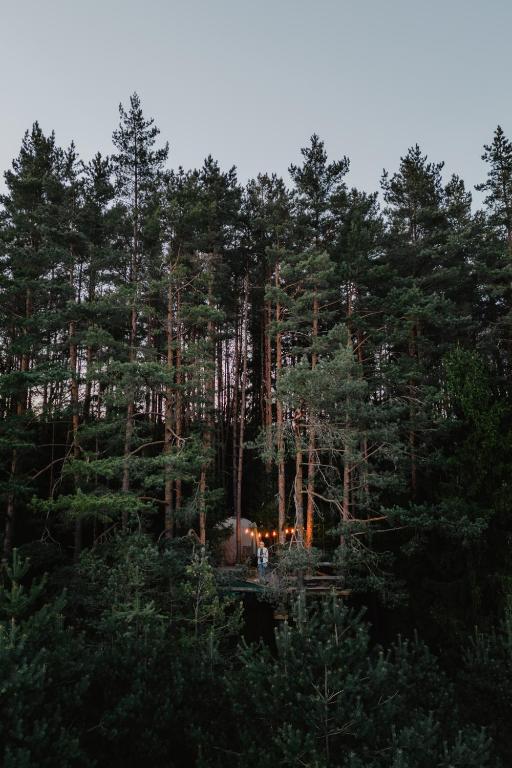 Příroda nedaleko luxury tent