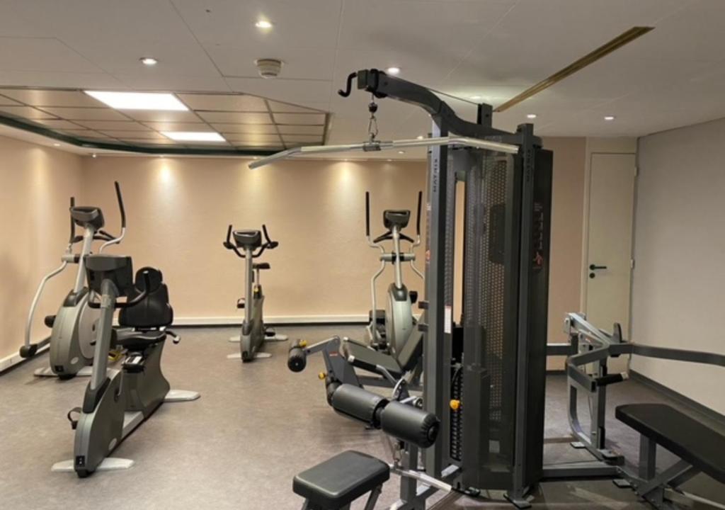 Fitness centrum a/nebo fitness zařízení v ubytování Plaza Hotel Capitole Toulouse