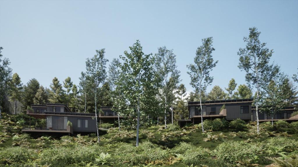 uma casa na floresta com árvores em Hillview Resort Grandvoir em Neufchâteau