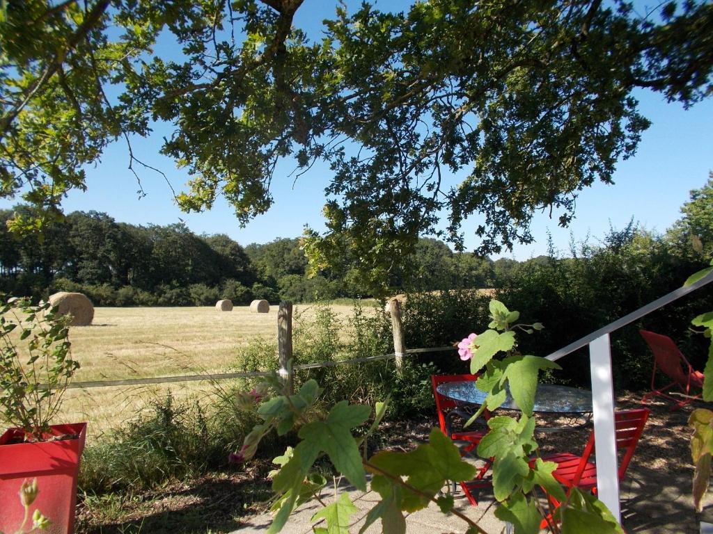 Vonkajšia záhrada v ubytovaní Domaine et gîtes insolites Touts Vents