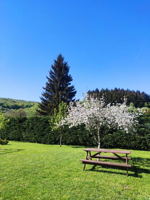 Příroda nedaleko apartmánu