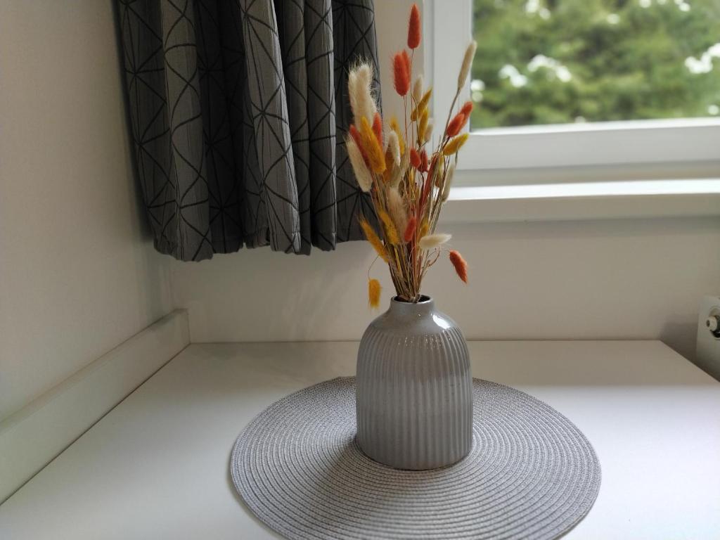 Fotografie z fotogalerie ubytování Apartmán Adéla v destinaci Černé Údolí
