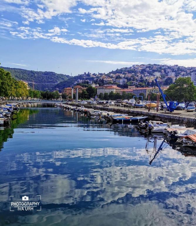 Príroda v okolí apartmánu