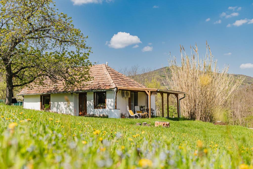 mały biały dom na polu trawy w obiekcie Rusztika Country Home w mieście Lesencetomaj