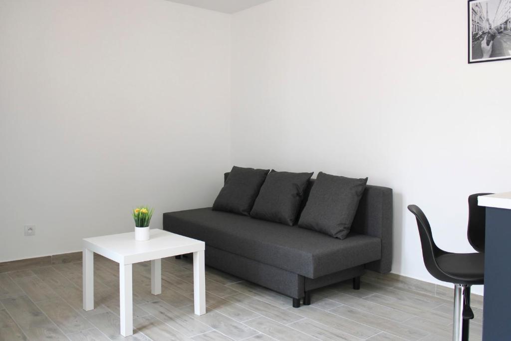 sala de estar con sofá y mesa en Beautiful apartment of 20 m with terrace, en Ivry-sur-Seine