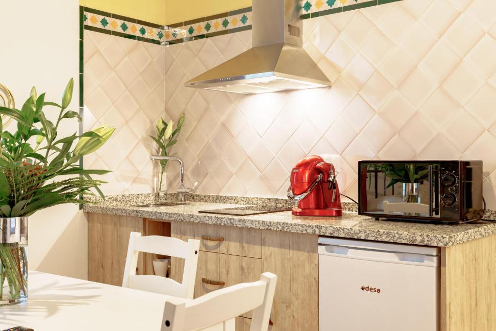 SUITES CASA DE LAS COLUMNAS - Resim 21