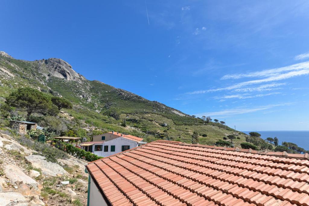 Příroda nedaleko apartmánu