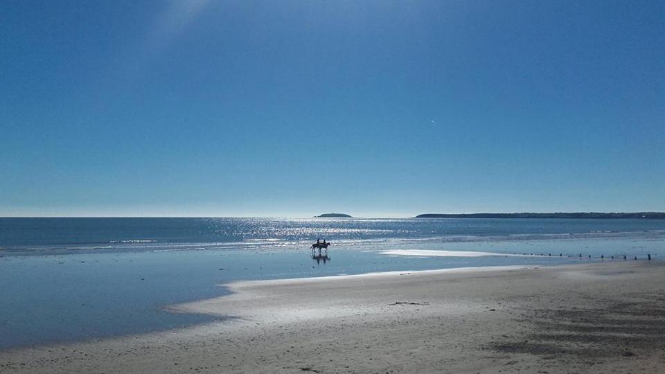 a person riding a horse on the beach at Sunmount in Youghal