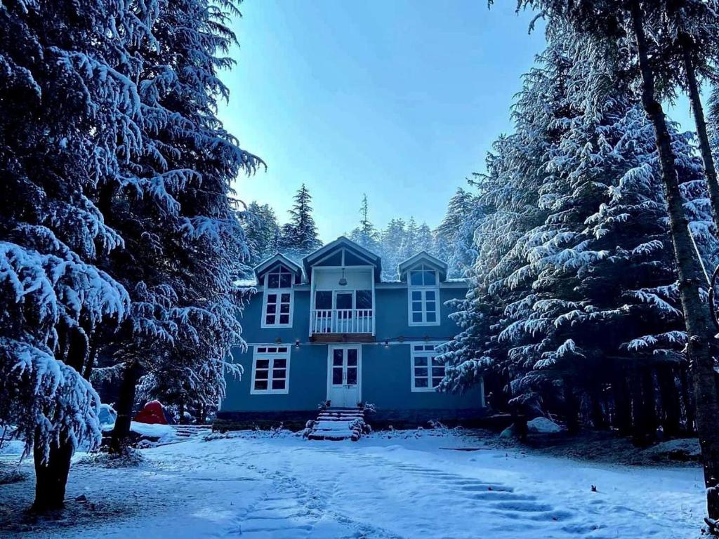 una casa azul en la nieve con árboles en Woodzo Shangarh, en Sainj