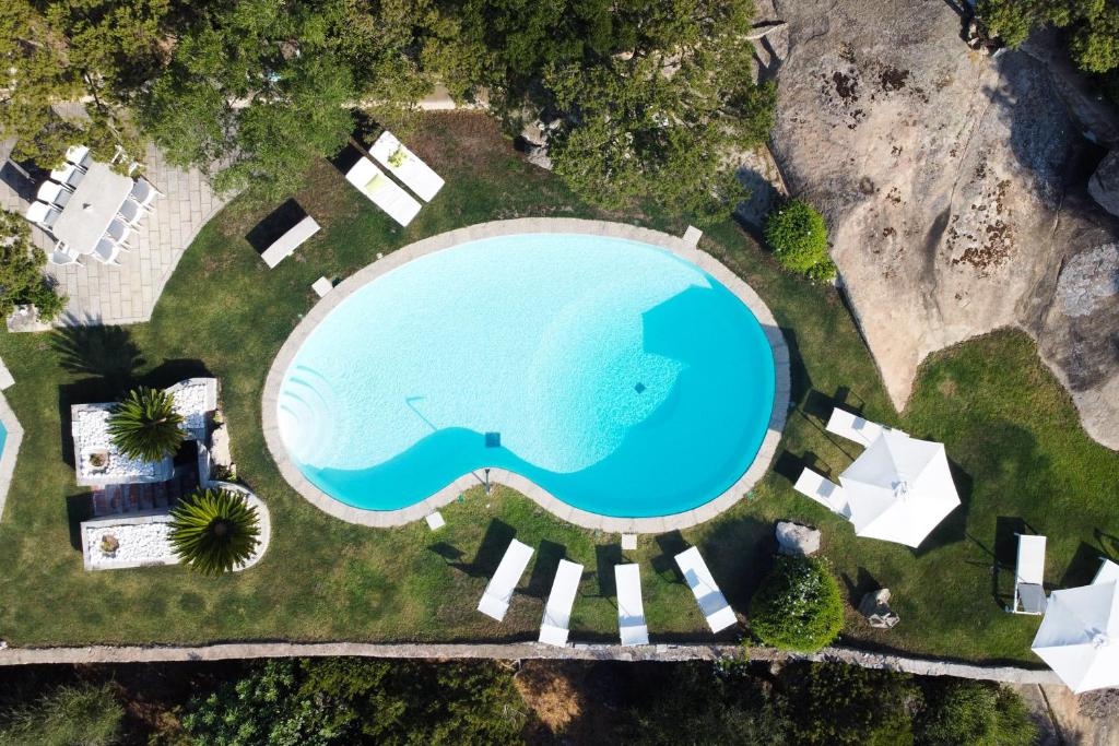 einen Blick über einen Pool mit einem Elefanten im Gras in der Unterkunft Villa Cava Del Tom Luxury in Porto Rotondo