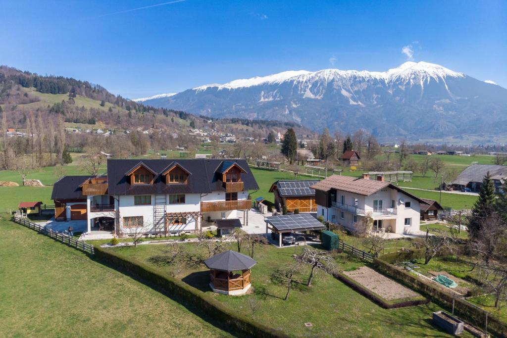 an aerial view of a house with a snow covered mountain at Apartments ApArt Bled in Bled