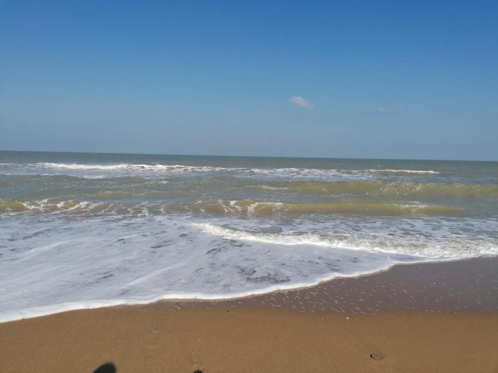 Fotografia z galérie ubytovania Charmant chalet 200 m de la mer v destinácii Merville-Franceville-Plage