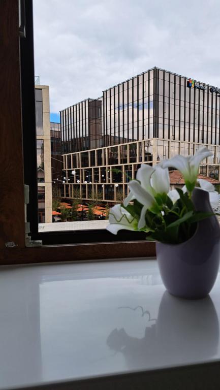 eine Vase mit weißen Blumen auf einem Fensterbrett in der Unterkunft Central Palace Iași Apart 2 in Iaşi