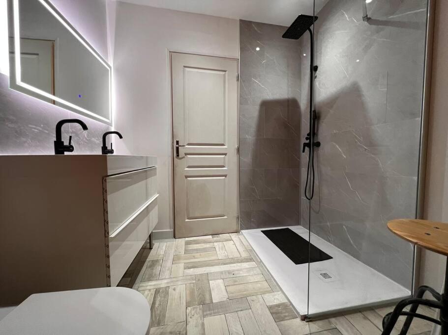 Koupelna v ubytování Blancs Vercors, appartement-gîte