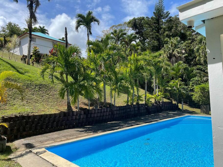 a blue swimming pool in front of a house at Jardin Secret in Petit-Bourg