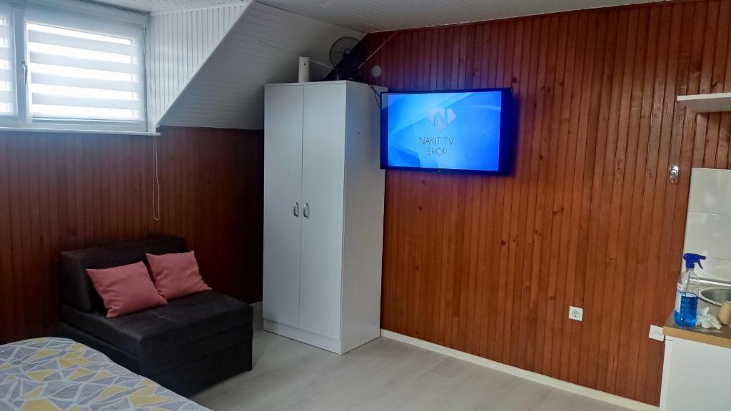 TV i/ili multimedijalni sistem u objektu Studio Apartman