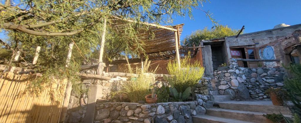 Photo from Pacha Cuty Hostel in Amaichá del Valle, Tucumán, Argentina