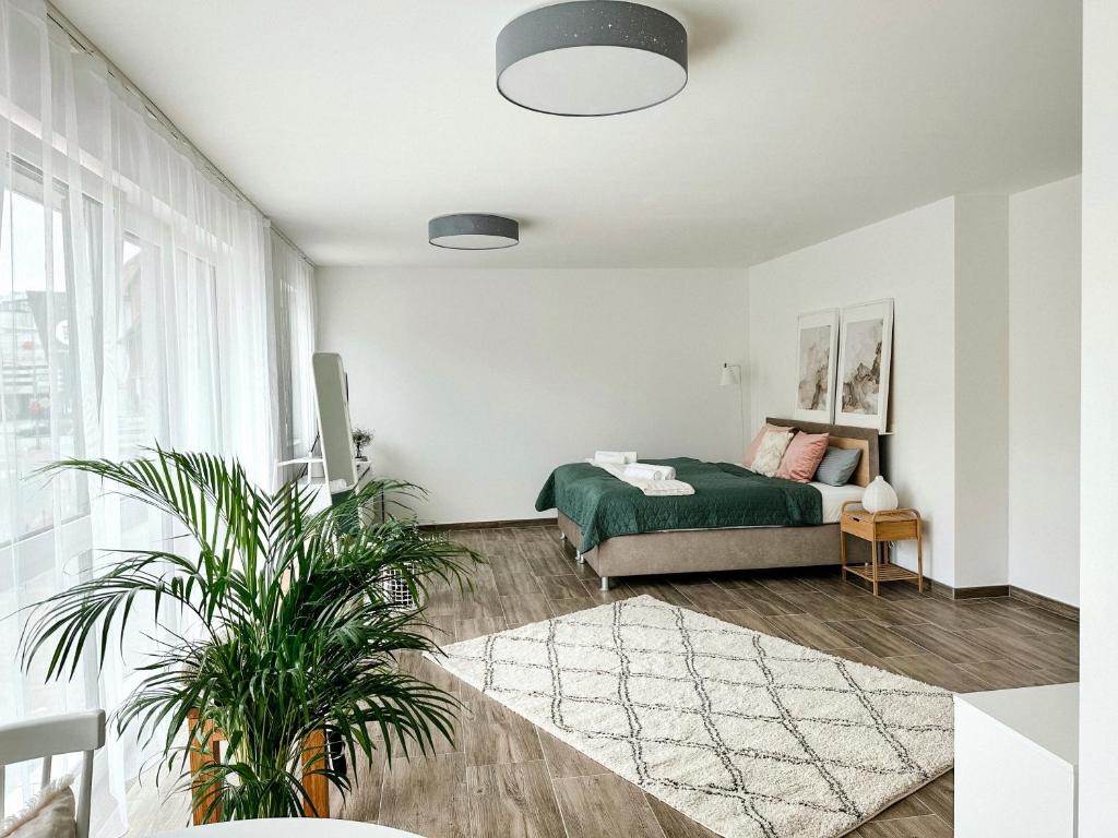 sala de estar con cama y planta en Sali Homes AM1 Elegant und stilvoll im Herzen Bayreuth in der Nähe des Flusses en Bayreuth