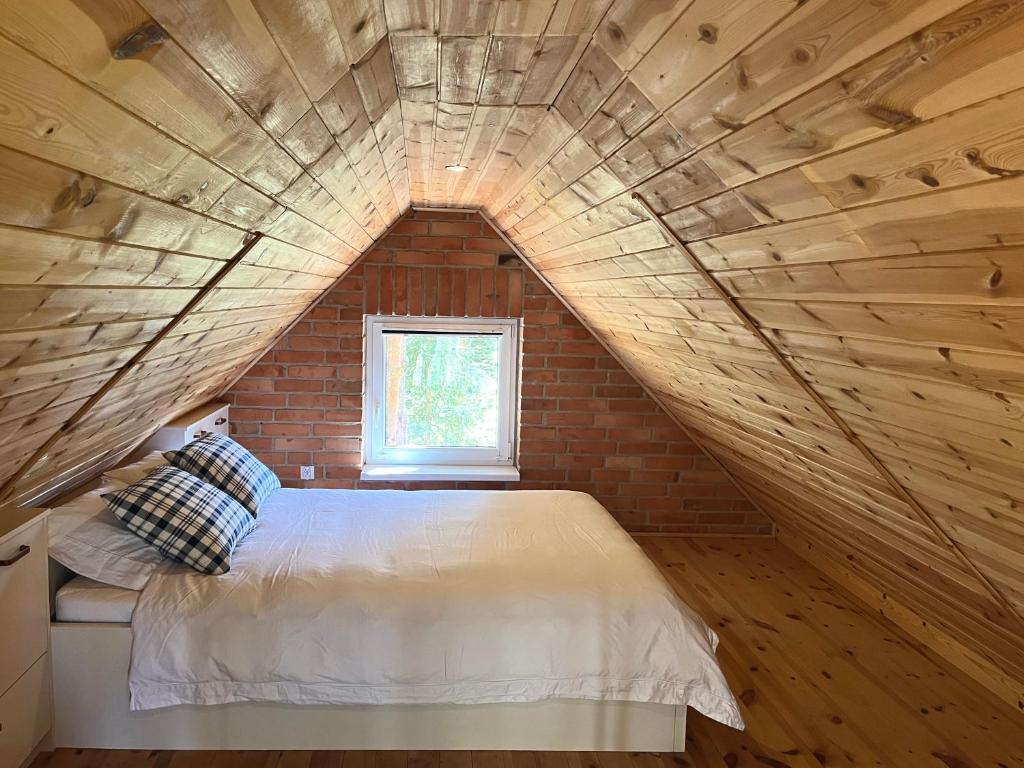 Raj na Kaszubach - Pałubicka Bór - Domy na Wynajem - One-Bedroom House