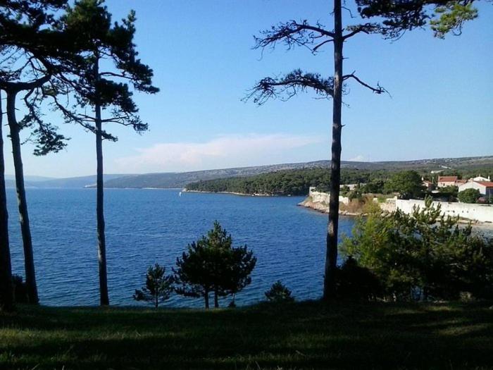 Blick auf einen großen Wasserkörper mit Bäumen in der Unterkunft Mobilne kućice Lavanda in Osor