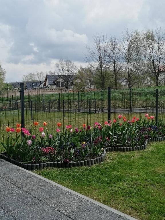 Zahrada ubytování Apartament Zielone Wzgórze 2