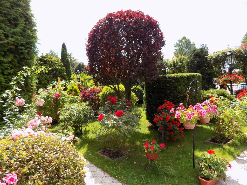 Pensjonat Angela - 5