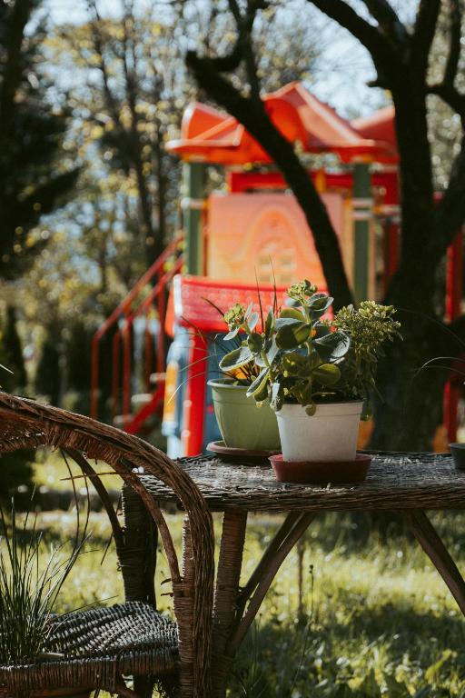 a table with two potted plants on top of it at Guesthouse Lord Byron in Tepelenë
