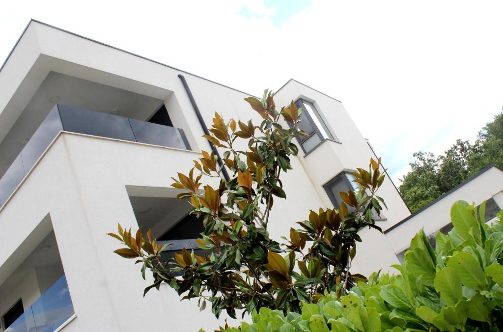a white building with a tree in front of it at Luxury apartments Aronia in Vantačići