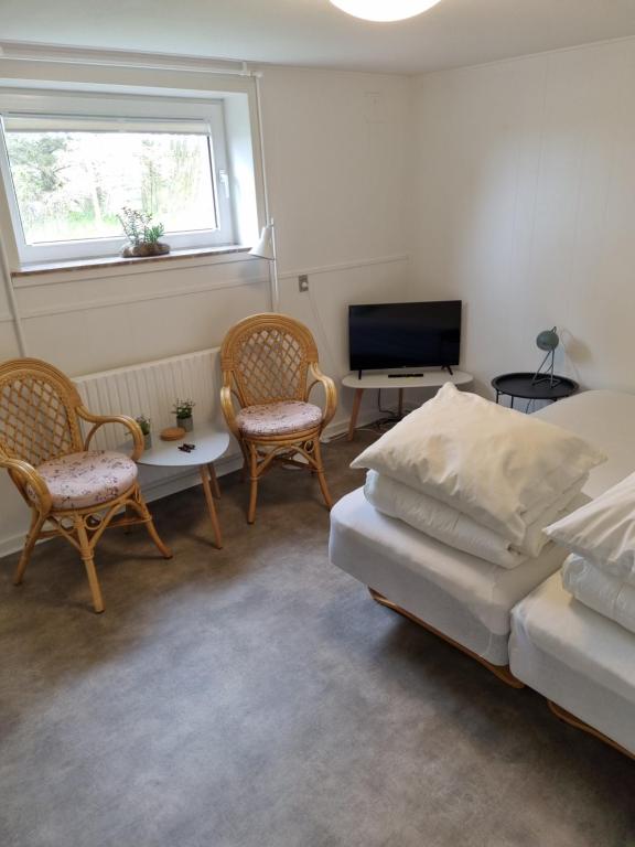 ヴィデ・サンデにあるFeriehuse Hvide Sandeのリビングルーム(ベッド、椅子、テレビ付)