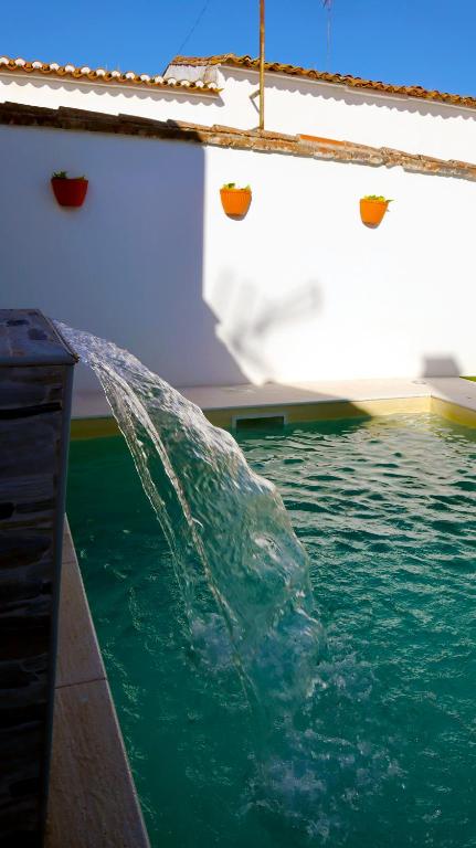 a dolphin is in the water on a boat at Casa do Marquês in Vidigueira