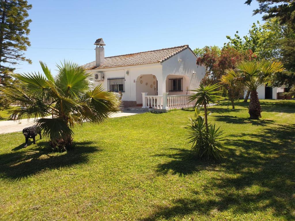 Сад в Casa Francesca, 90 m2, jardin de 1500m2