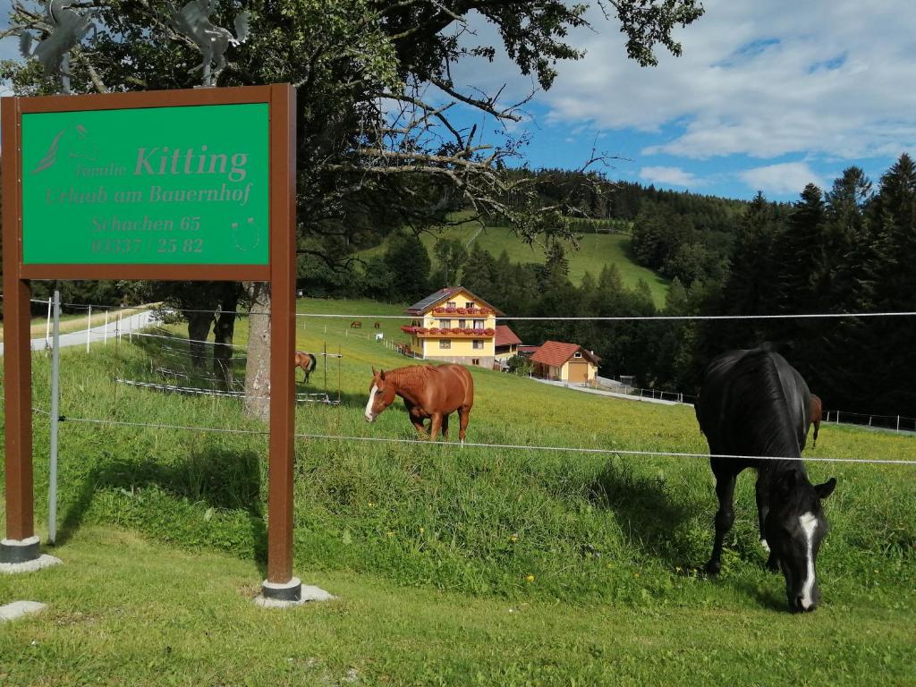 two horses grazing in a field next to a sign at Urlaub am Bauernhof Familie Kitting in Vorau
