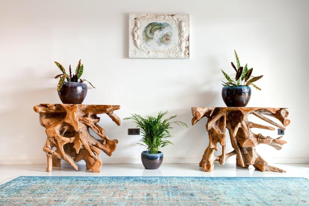 Fotografie z fotogalerie ubytování Mana EcoRetreat v destinaci Las Breñas