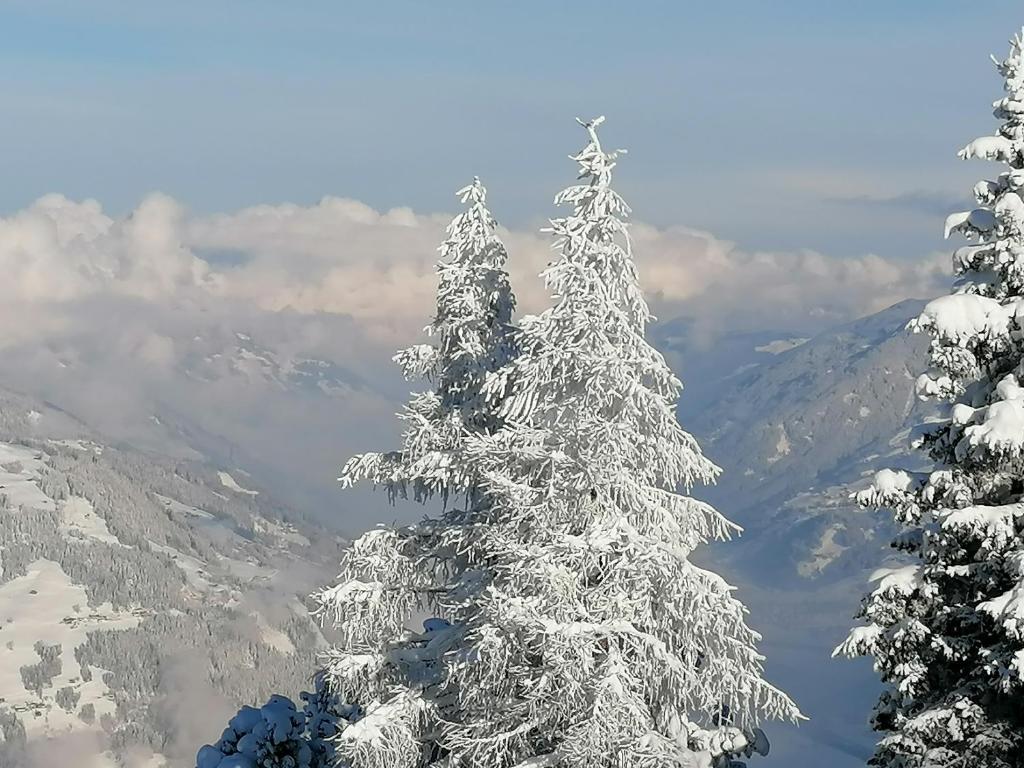 Ein allgemeiner Bergblick oder ein Berglick von der Ferienwohnung aus