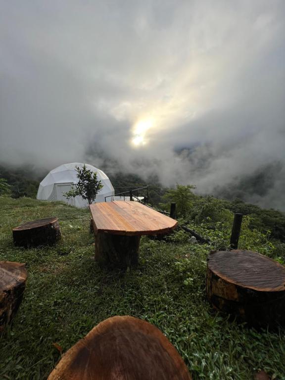 Příroda nedaleko luxury tent