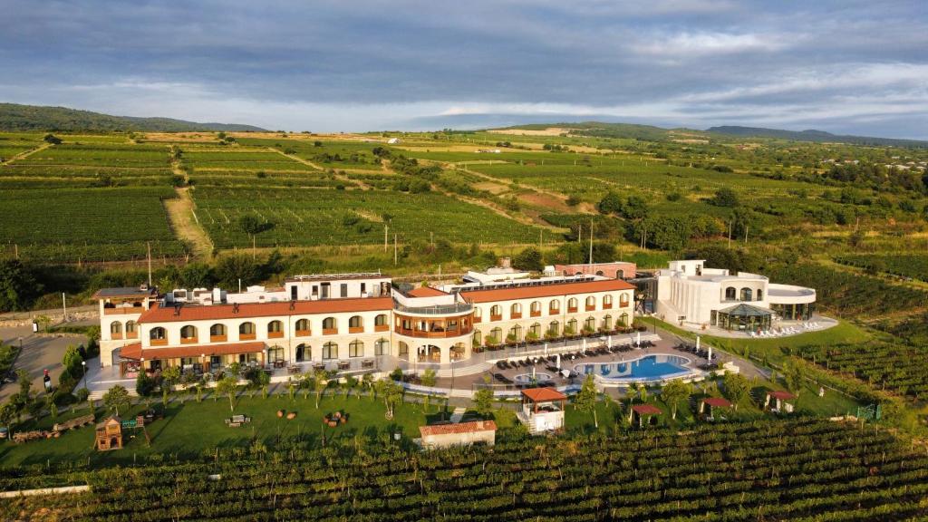 an aerial view of a large building in a vineyard at Panorama Kakheti Resort in Gurjaani